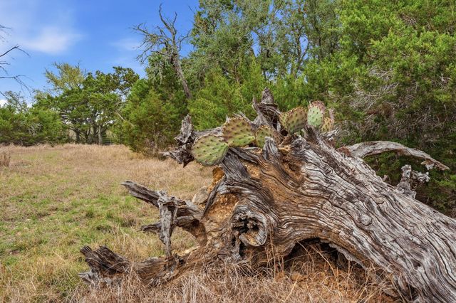 TBD Loop 165, Dripping Springs, TX 78620
