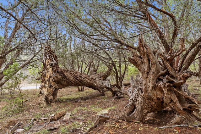 TBD Loop 165, Dripping Springs, TX 78620