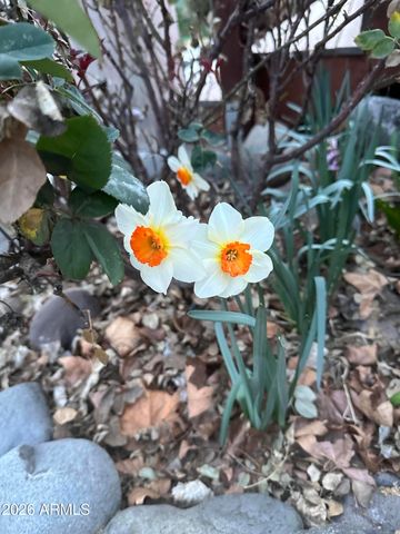 4190 E Sparkling Lane, Camp Verde, AZ 86322