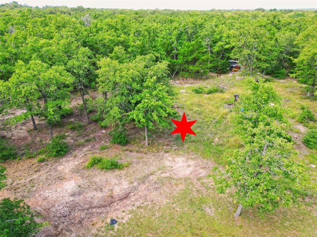 2203 Dead End Lane, Ledbetter, TX 78946