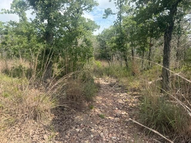 2203 Dead End Lane, Ledbetter, TX 78946