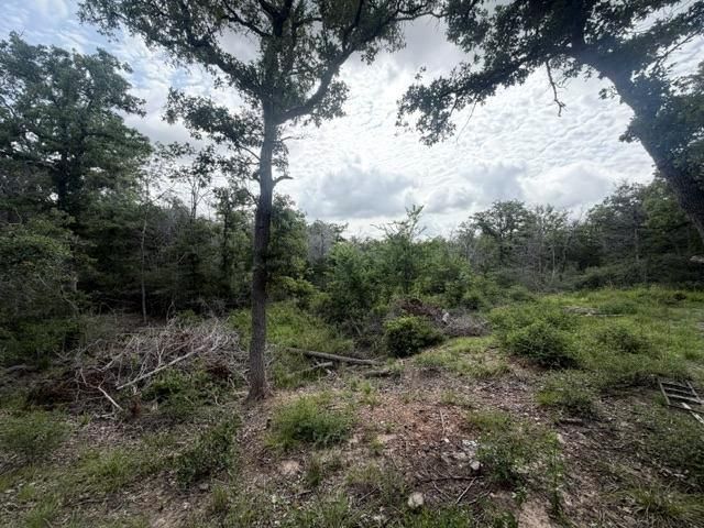 2203 Dead End Lane, Ledbetter, TX 78946