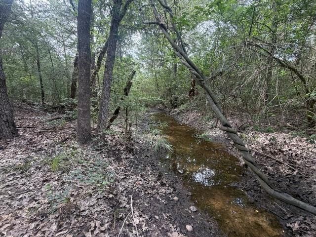 2203 Dead End Lane, Ledbetter, TX 78946