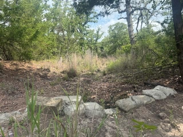 2203 Dead End Lane, Ledbetter, TX 78946
