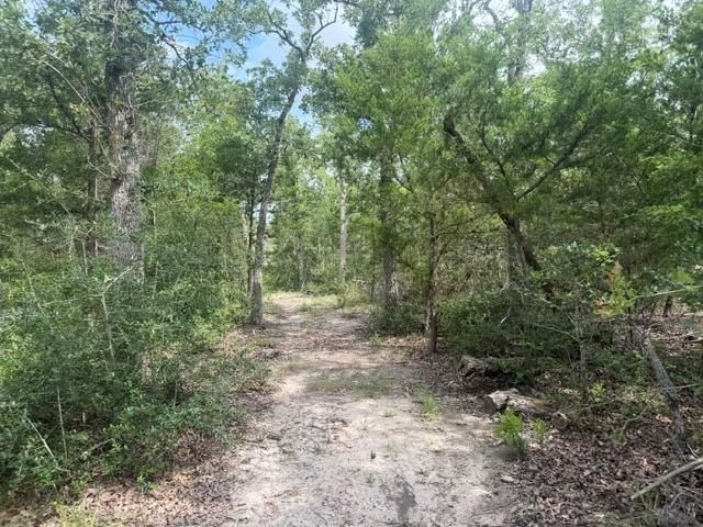 2203 Dead End Lane, Ledbetter, TX 78946