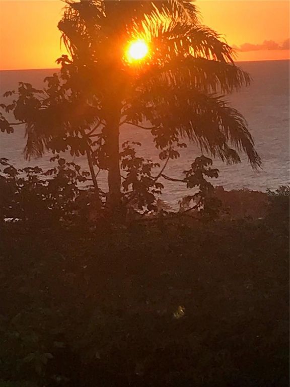 Image 19 of property listing at 413 INT CAMINO MARTILLO BO PUNTAS, Rincon, PR 00677