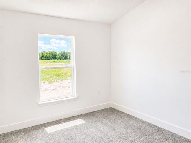 250 VERNY GROVE LANE, Leesburg, FL 34748