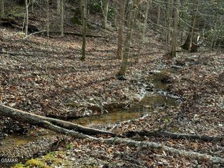 714 Pinnacle Vista Lot 28, Gatlinburg, TN 37738