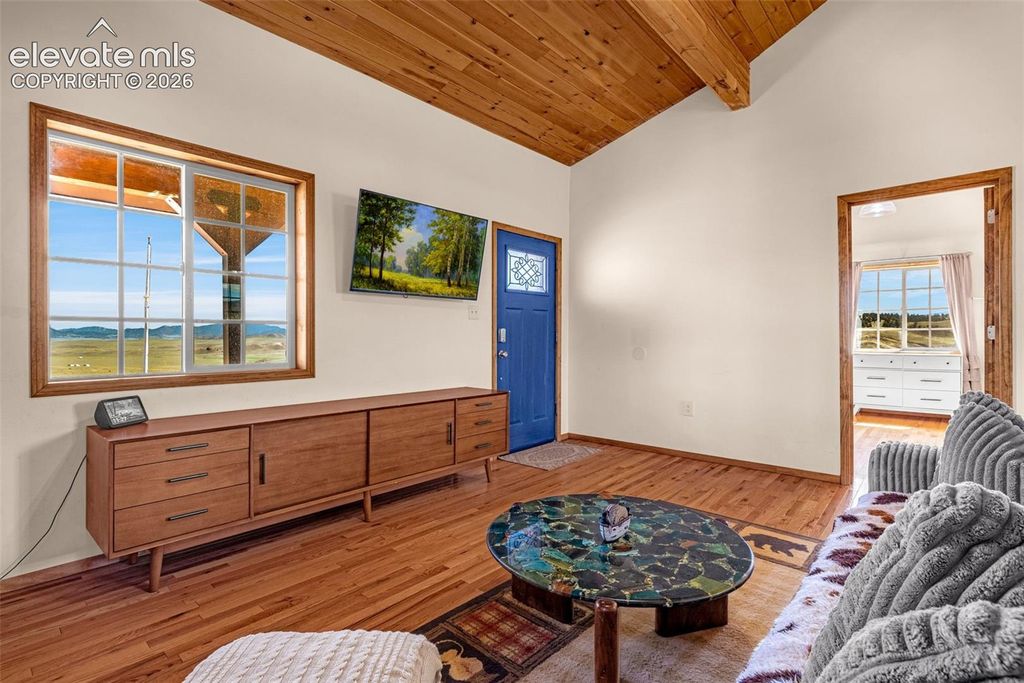 8591 Black Beaver Road, Hartsel, CO 80449 — photo 4