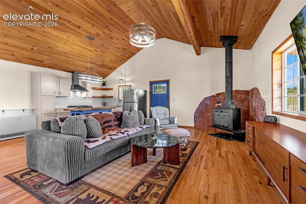 8591 Black Beaver Road, Hartsel, CO 80449 — photo 5