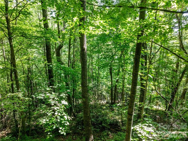 8 White Birch Court 424, Black Mountain, NC 28711