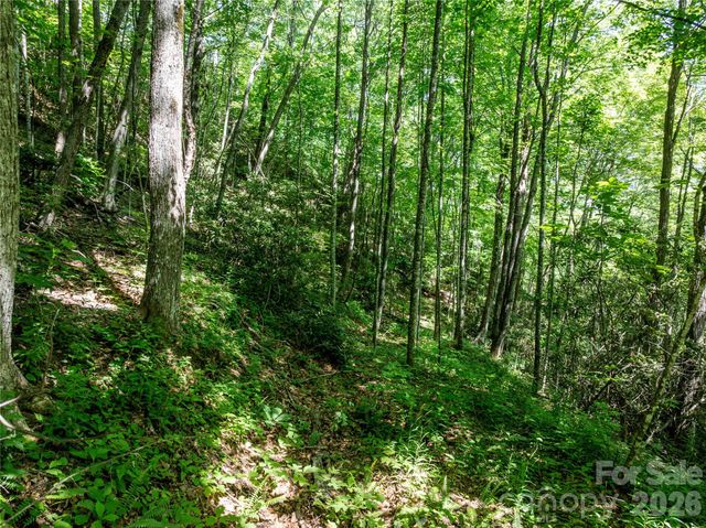 8 White Birch Court 424, Black Mountain, NC 28711