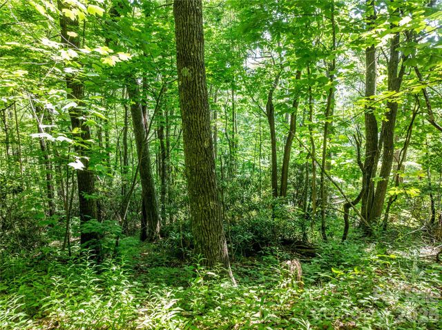 8 White Birch Court 424, Black Mountain, NC 28711