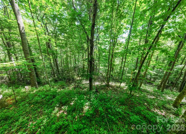 8 White Birch Court 424, Black Mountain, NC 28711