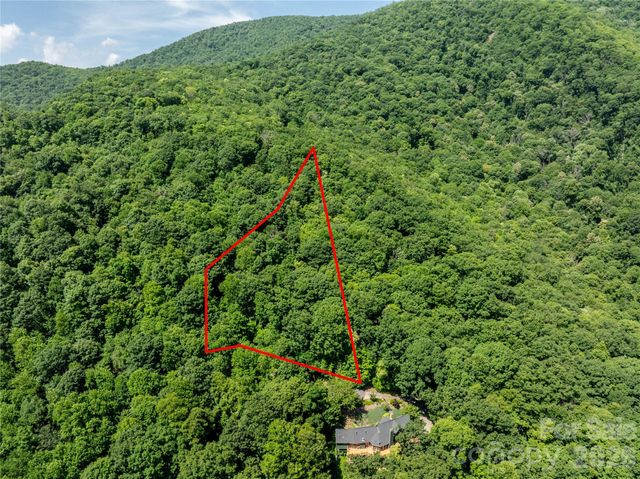 8 White Birch Court 424, Black Mountain, NC 28711