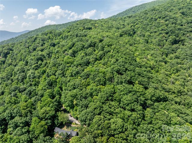 8 White Birch Court 424, Black Mountain, NC 28711