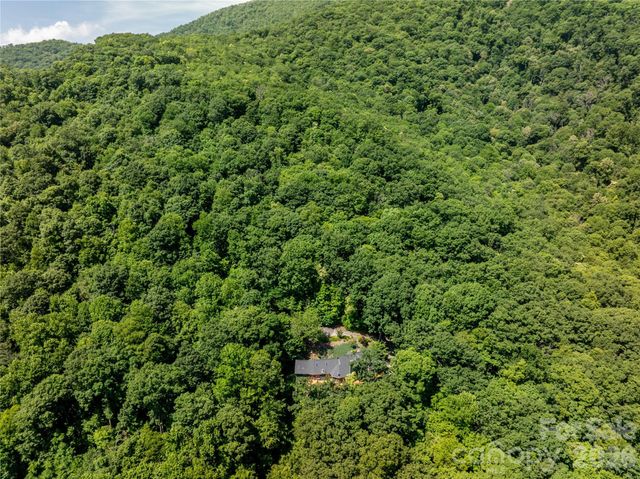 8 White Birch Court 424, Black Mountain, NC 28711