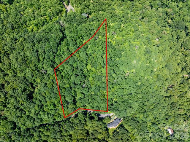 8 White Birch Court 424, Black Mountain, NC 28711