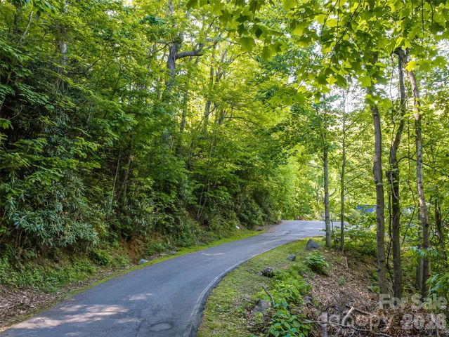 8 White Birch Court 424, Black Mountain, NC 28711