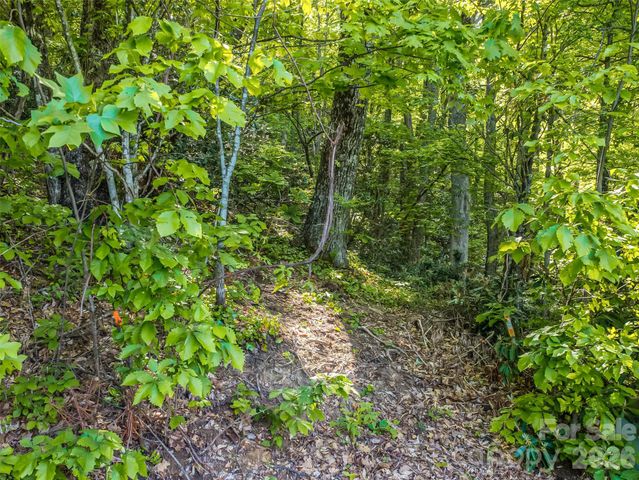 8 White Birch Court 424, Black Mountain, NC 28711