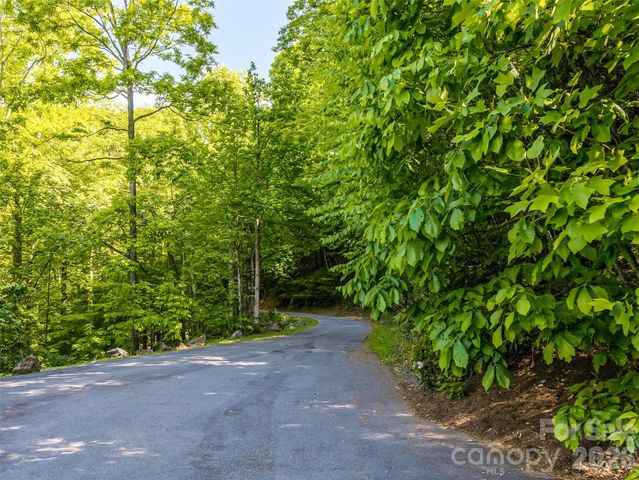 8 White Birch Court 424, Black Mountain, NC 28711
