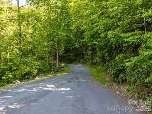 8 White Birch Court 424, Black Mountain, NC 28711