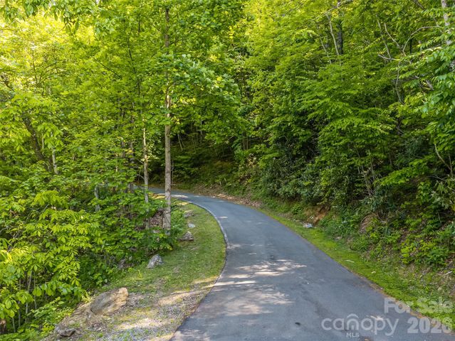 8 White Birch Court 424, Black Mountain, NC 28711