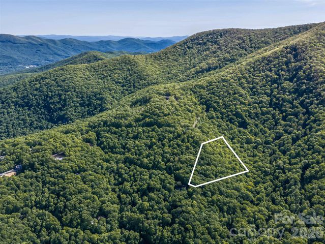 8 White Birch Court 424, Black Mountain, NC 28711