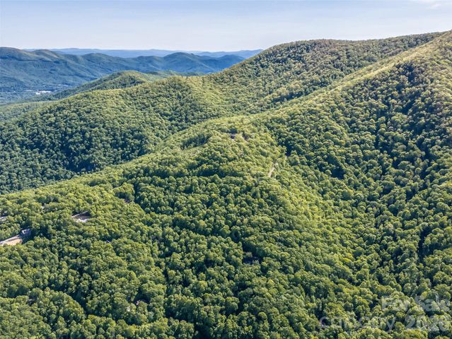 8 White Birch Court 424, Black Mountain, NC 28711