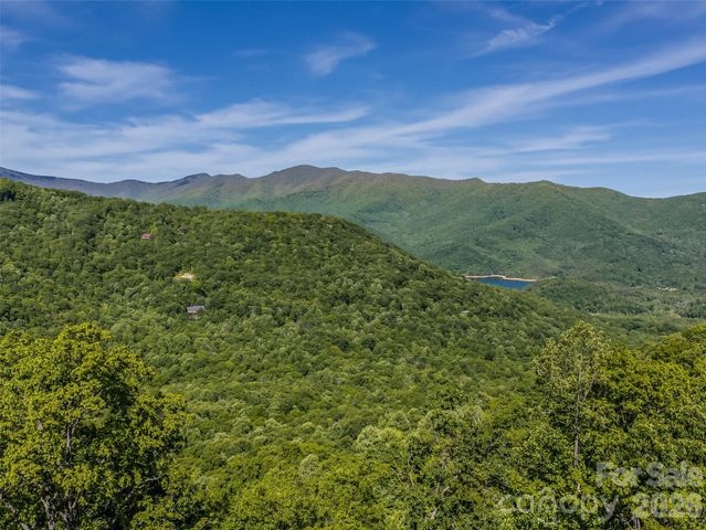 8 White Birch Court 424, Black Mountain, NC 28711