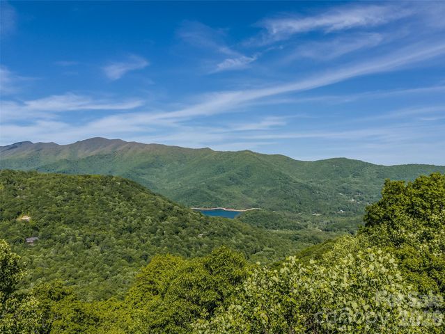 8 White Birch Court 424, Black Mountain, NC 28711