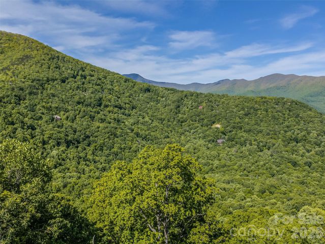 8 White Birch Court 424, Black Mountain, NC 28711