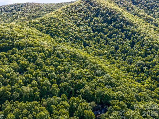 8 White Birch Court 424, Black Mountain, NC 28711