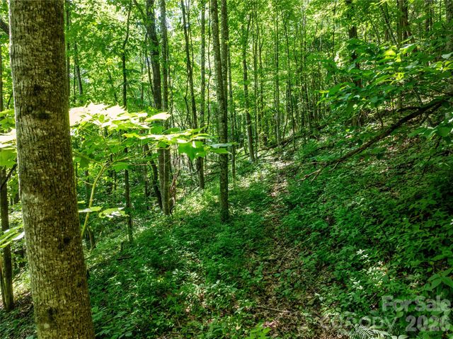 8 White Birch Court 424, Black Mountain, NC 28711