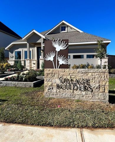 16103 Domestic Dove Way, Hockley, TX 77447