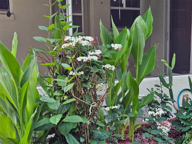 5351 AURORA DRIVE, Leesburg, FL 34748