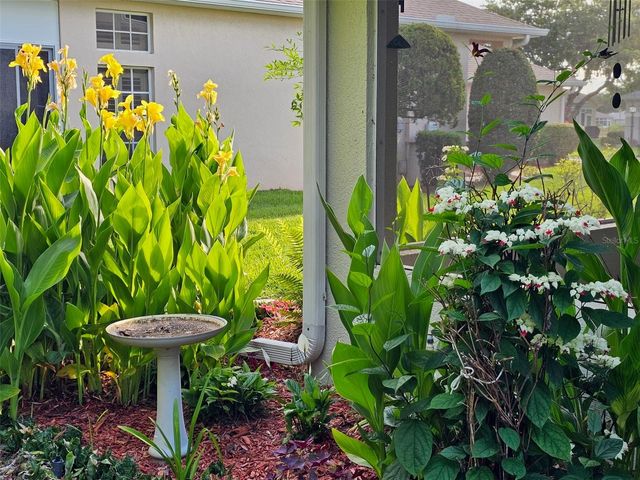 5351 AURORA DRIVE, Leesburg, FL 34748