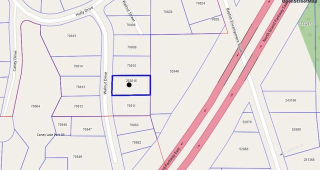 21117 Walnut Drive, New Caney, TX 77357