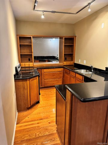 25581 Portico Lane, Novi, MI 48375