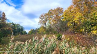 0 Route 9w, Athens, NY 12015