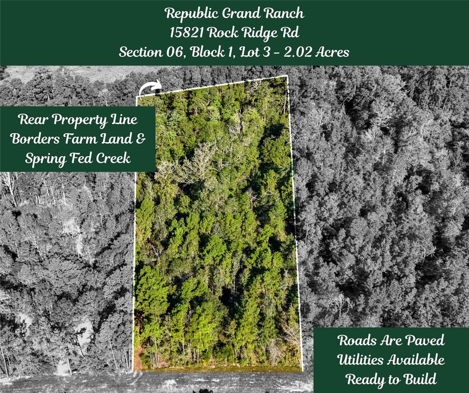 15821 Ridge Rock Road, Willis, TX 77378