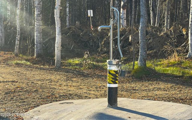 19400 E Old Vlg Street, Willow, AK 99688