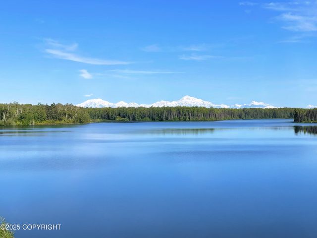 19400 E Old Vlg Street, Willow, AK 99688