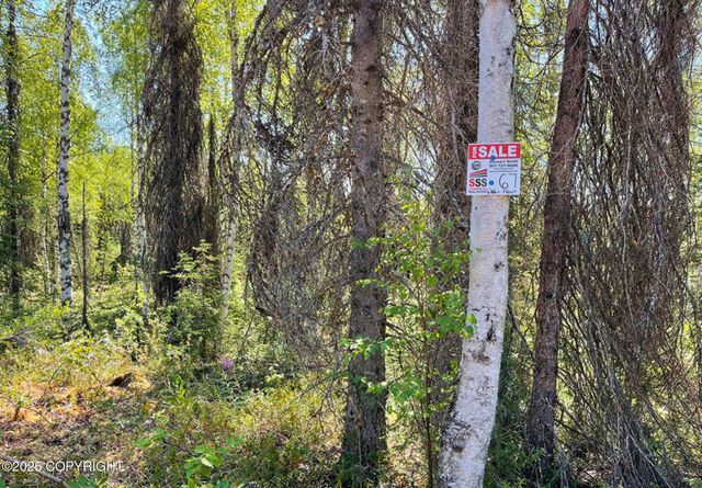 19400 E Old Vlg Street, Willow, AK 99688