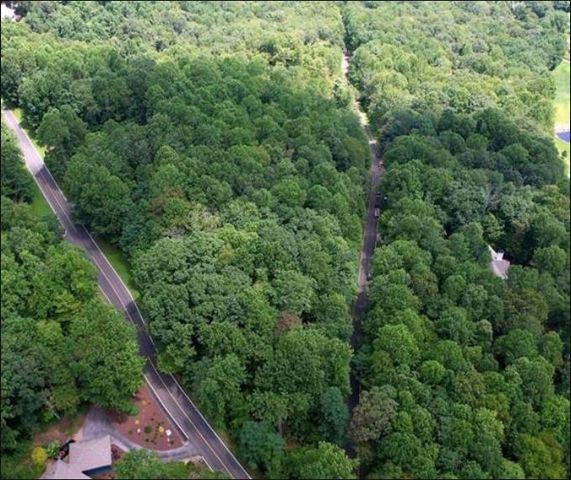 Lt 41 Snap Dragon Way, Landrum, SC 29356