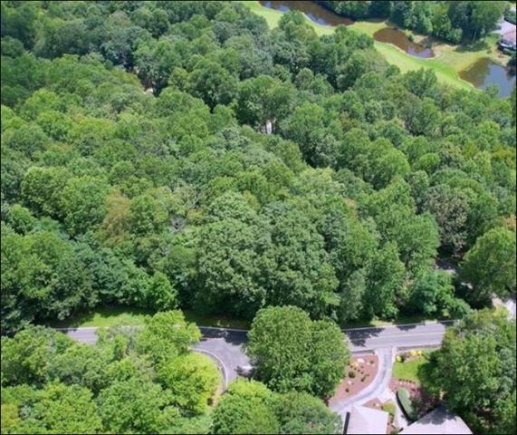 Lt 41 Snap Dragon Way, Landrum, SC 29356