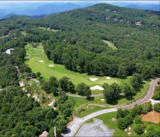 Lt 41 Snap Dragon Way, Landrum, SC 29356