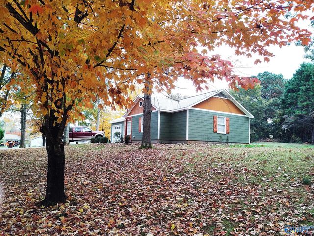 13167 Dickens Lane, Madison, AL 35756