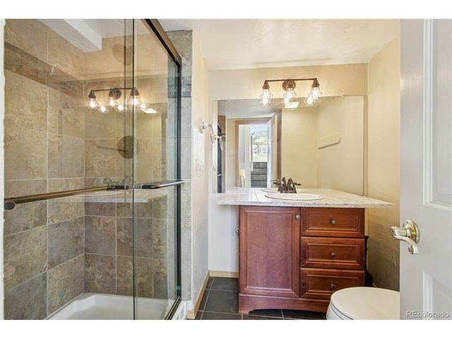 110 Badger Ct, Silverthorne, CO 80498