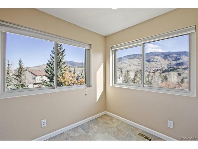110 Badger Ct, Silverthorne, CO 80498